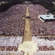 To priests: Concelebrate the Mass of May 13, presided over by Pope Benedict XVI